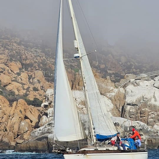 fondeoncylh (3)